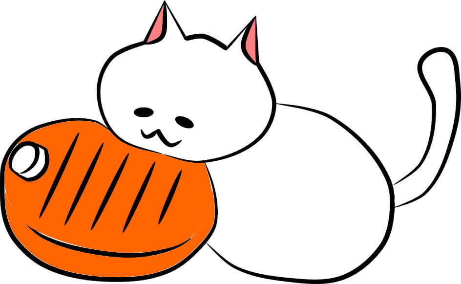 アナログな暖かさの湯たんぽ